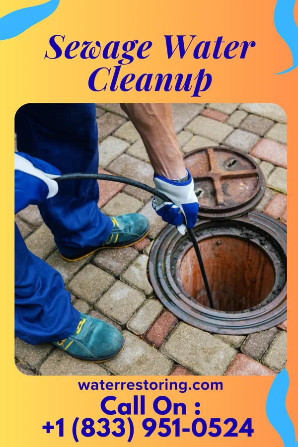 Sewage Water Cleanup in Red Level, AL